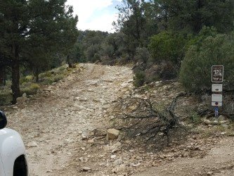 thumbnail_20170904_095556.jpg