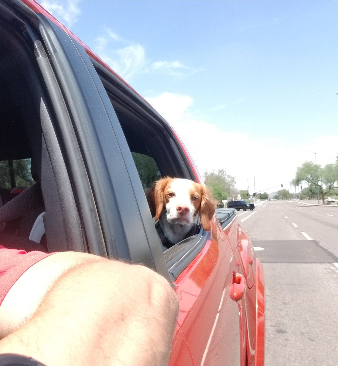 thumbnail_20190807_173232.jpg
