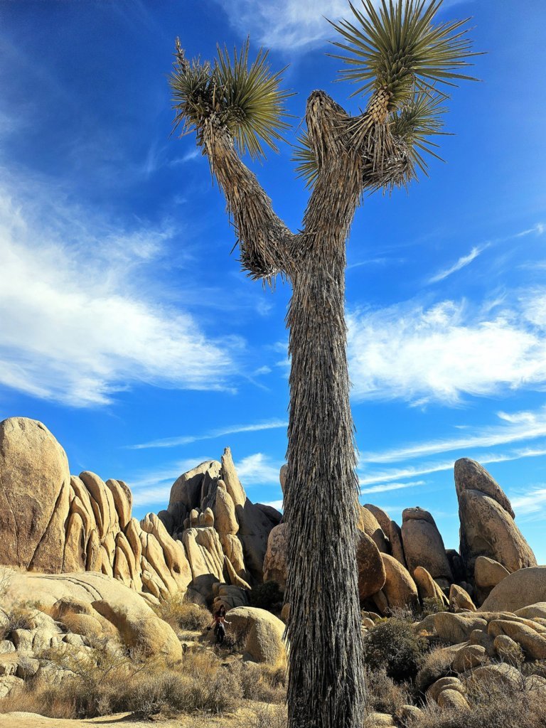 thumbnail_20241130_130818.jpg