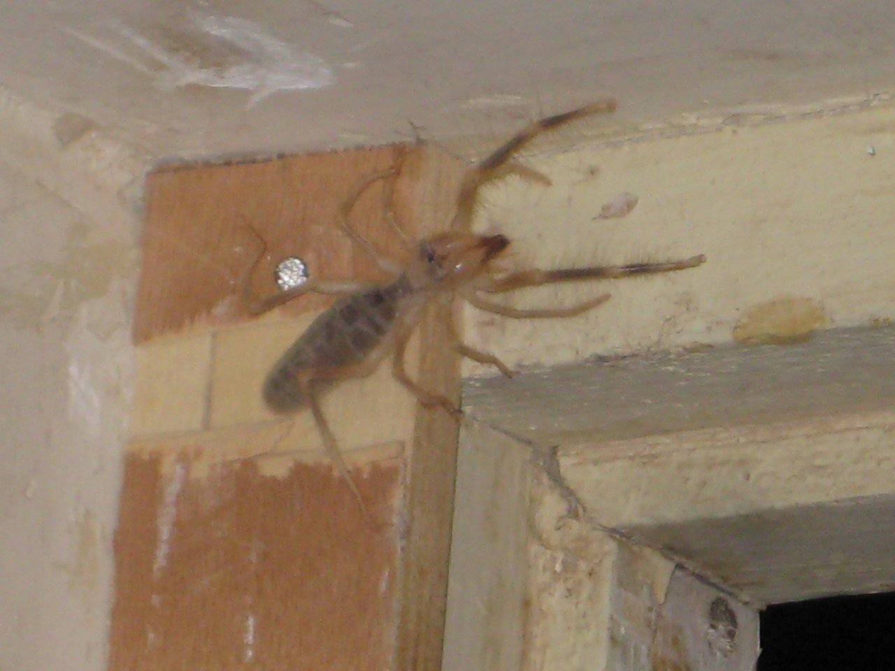 thumbnail_IMG_0391.jpg
