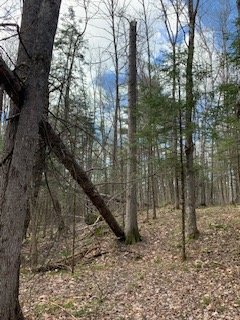 thumbnail_IMG_2297.jpg