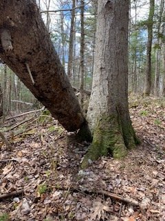 thumbnail_IMG_2299.jpg