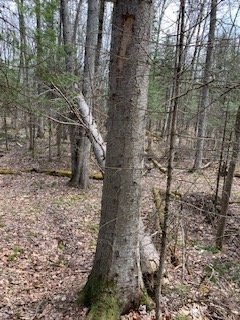thumbnail_IMG_2301.jpg
