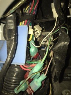 thumbnail_IMG_3891.jpg