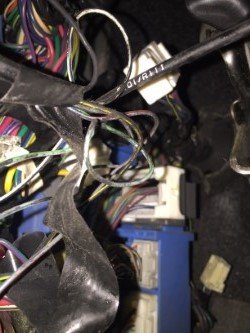 thumbnail_IMG_3892.jpg