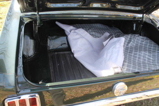 thumbnail_IMG_9562.jpg