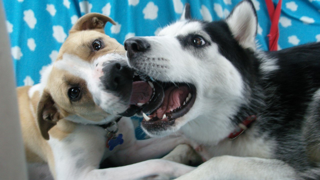 thumbnail_SNV10974.jpg