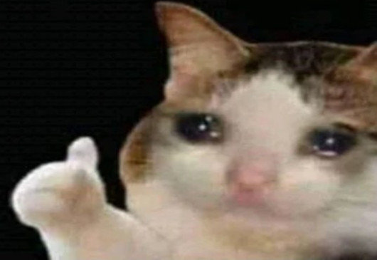 Thumbs_Up_Crying_Cat.jpg