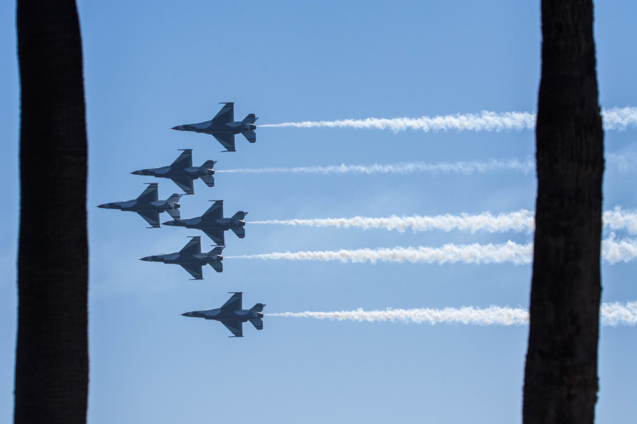 Thunderbirds Trees.jpg