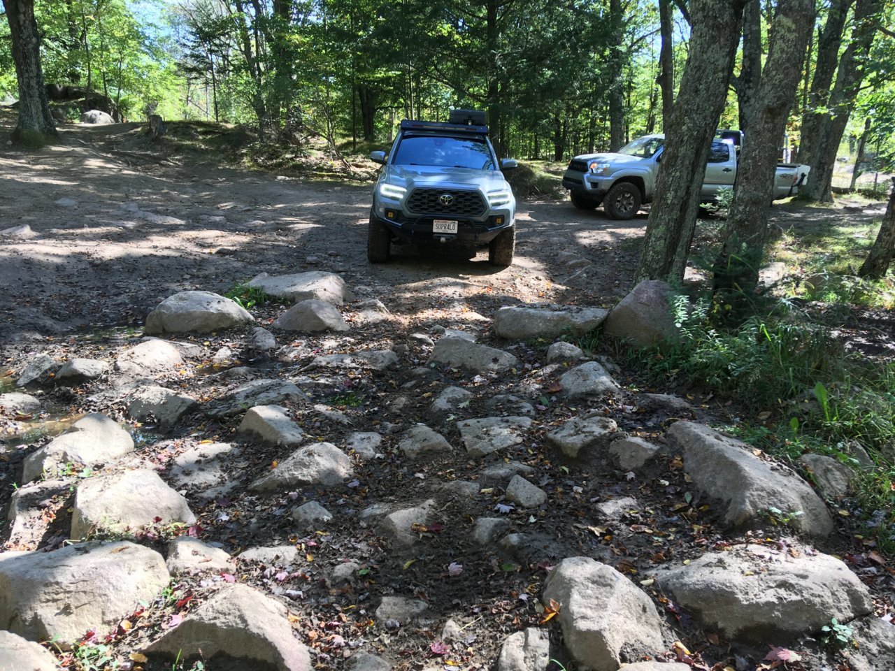 Tig15 Rock Garden.jpg
