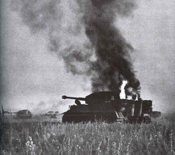 Tiger-burning-px800.jpg