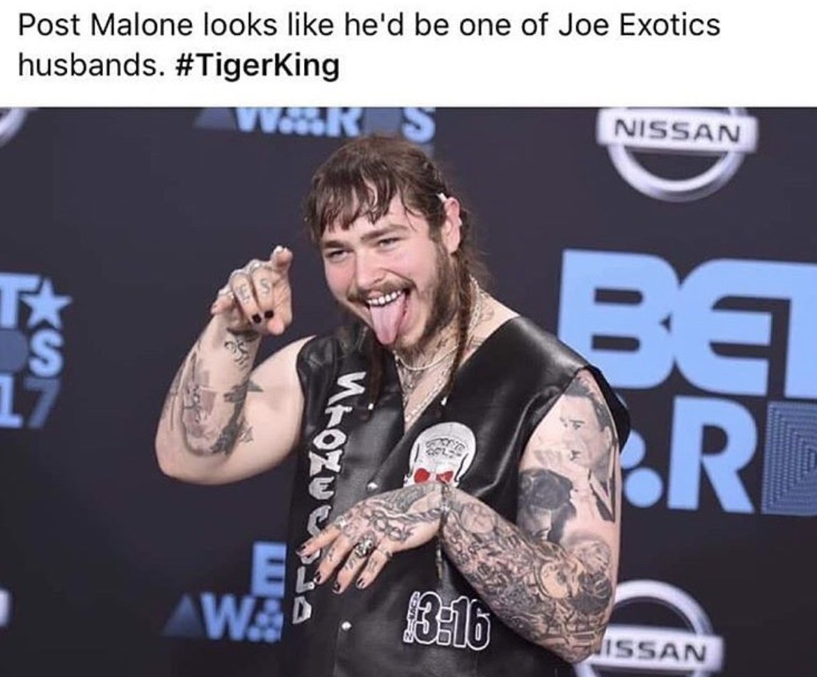 tiger-king-joe-exotic-meme-17.jpg