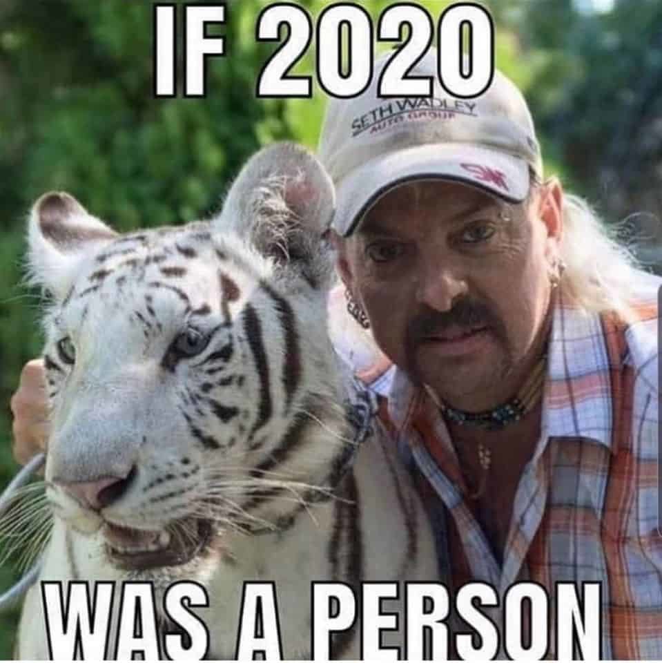 tiger-king-meme-7.jpg