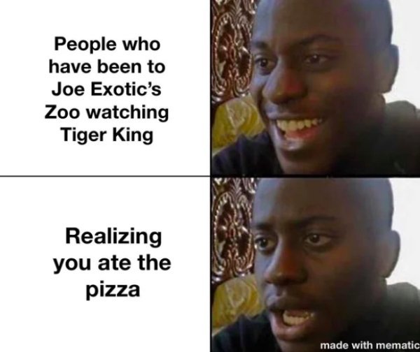 tiger-king-memes-almost-as-crazy-as-the-show-35-photos-10.jpg
