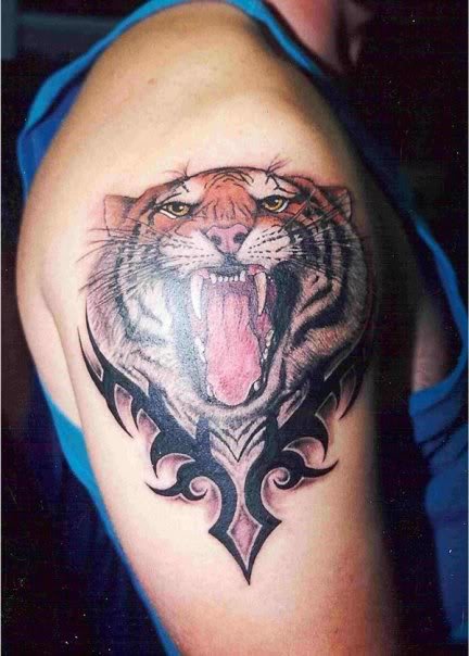 tiger_a5ec953631ec5c99c3a2805cb6ee7dd899f71028.jpg