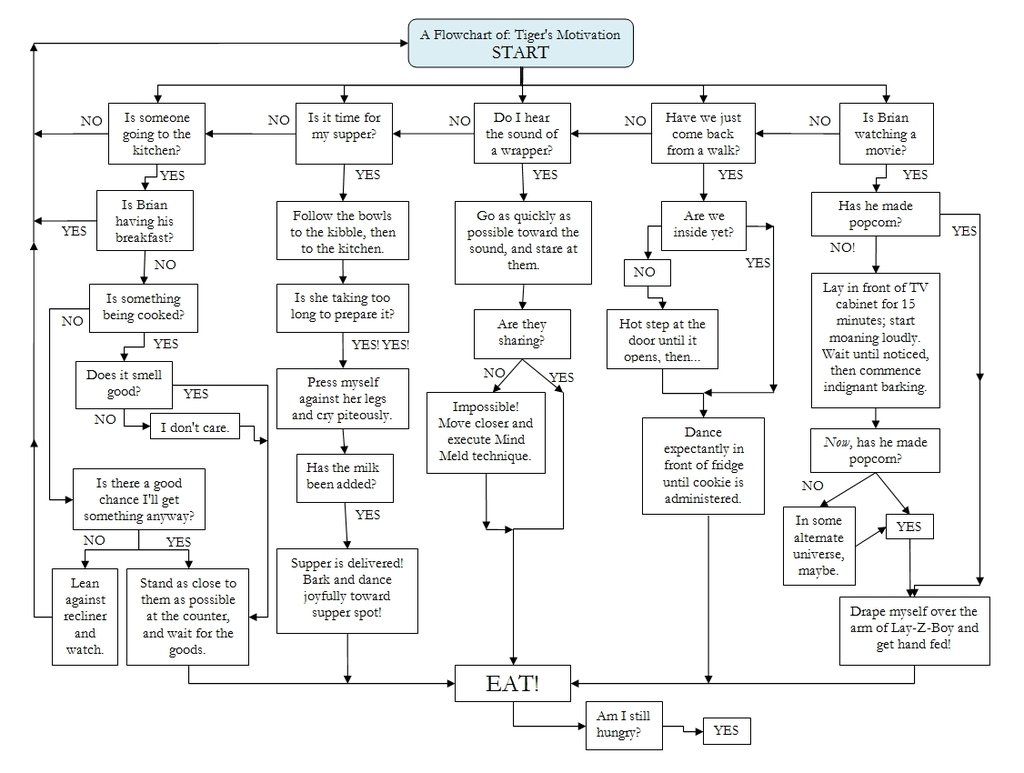 Tigers%20flowchart_57e8b675520330979e4cc0df6bd7e9fa24b28ed1.jpg
