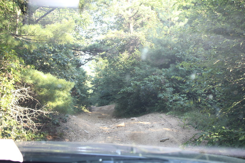 Tight Trail Downhill.jpg