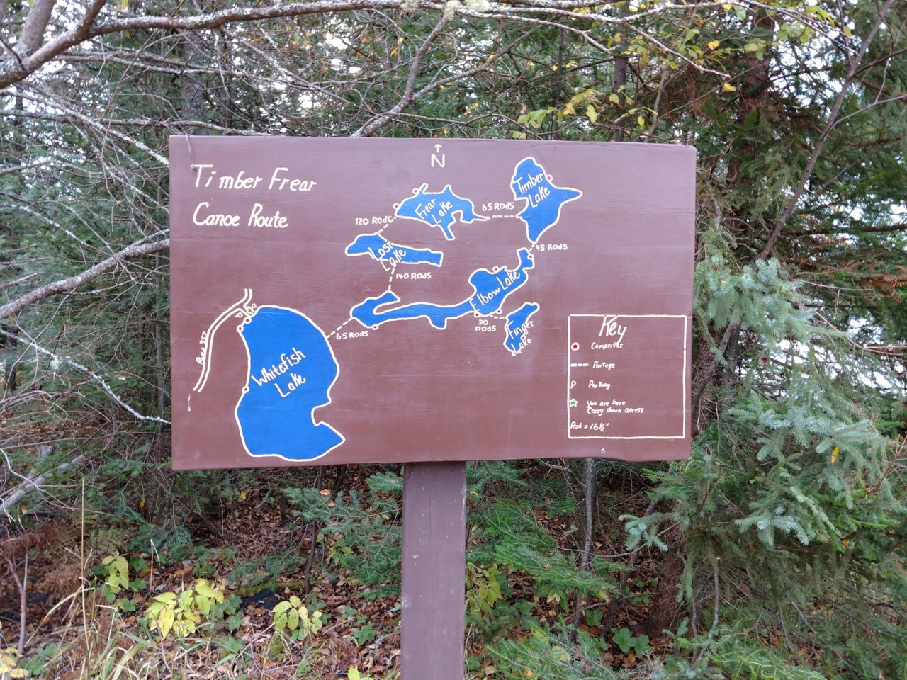 Timber Frear Loop.jpg