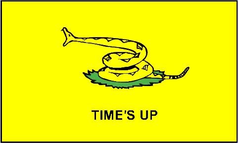 times_up_flag_z.jpg