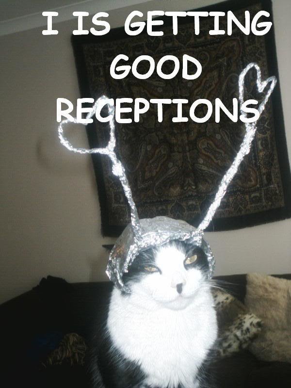 TinFoilHatPootie_6575faba3aaf757599751532d0d1413283a2f322.jpg
