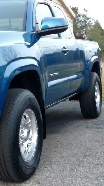 Tint and mudguards 2.jpg