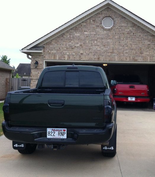 tinted tails, .jpg