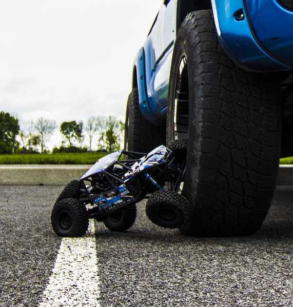 tiny crawler.jpg