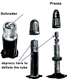 tips_valves_05vs3_p_edited-1.jpg