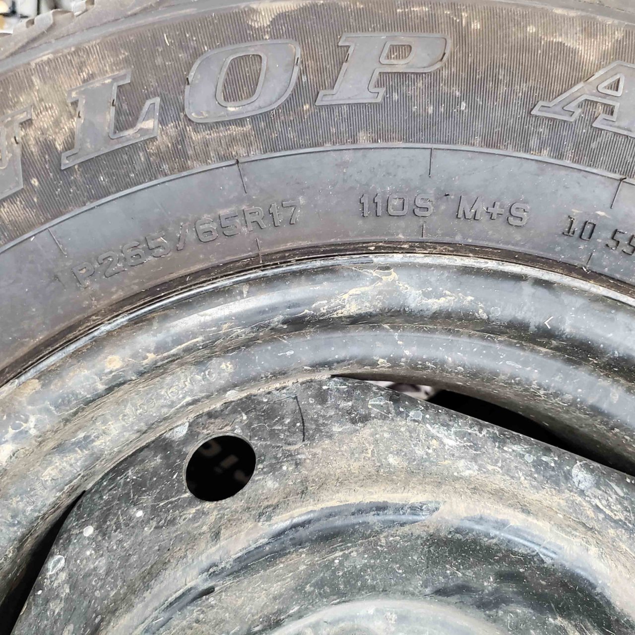 Tire 4.jpg