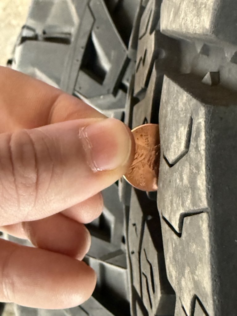 Tire 4 Large.jpg