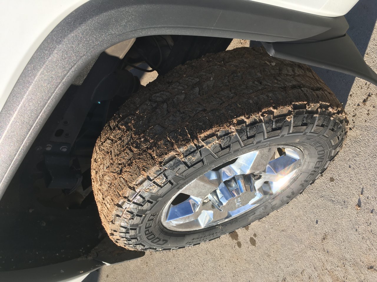 tire1.jpg