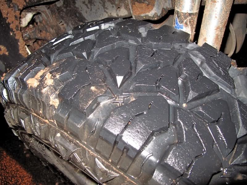 tire1_f506df4515134bf2fcfc1417ebdf596ef351349e.jpg