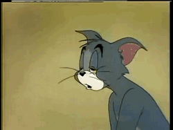 tired-cat.gif