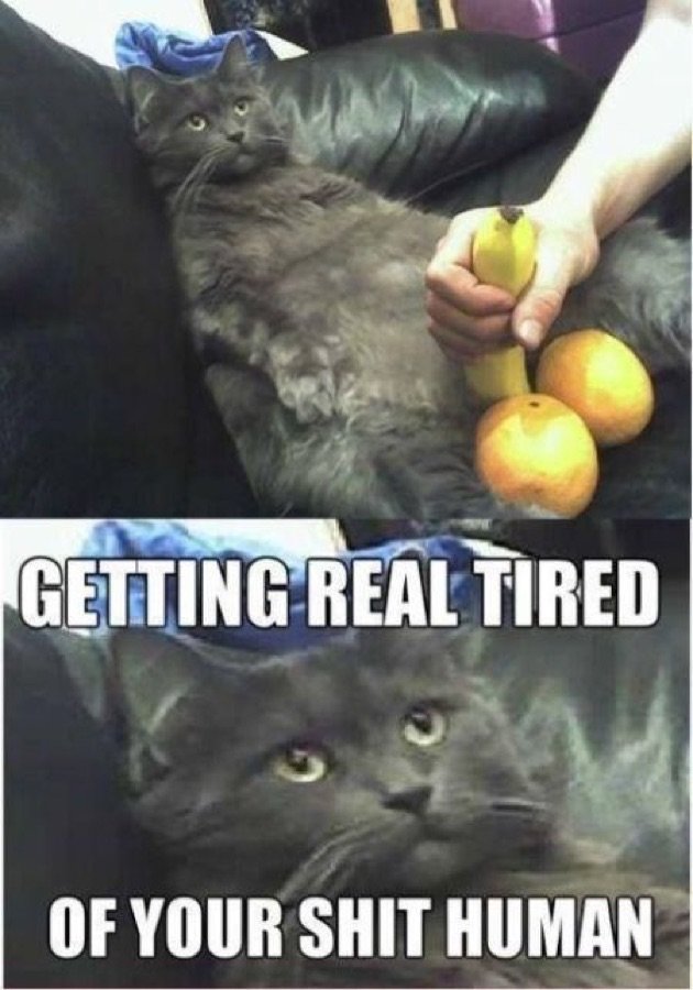 tired.jpg