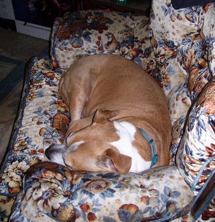 tired_layla14.jpg