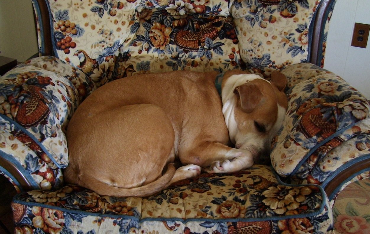 tired_layla15.jpg