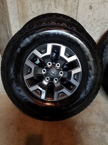 tires2.jpg