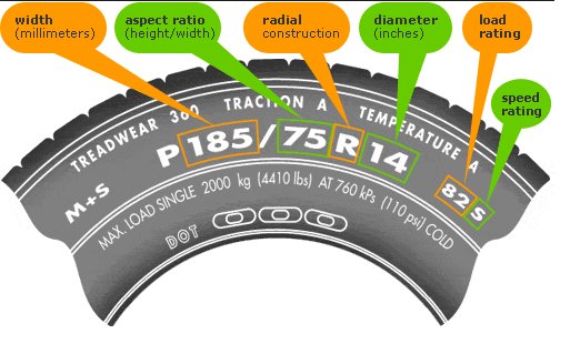 tires_baby.jpg