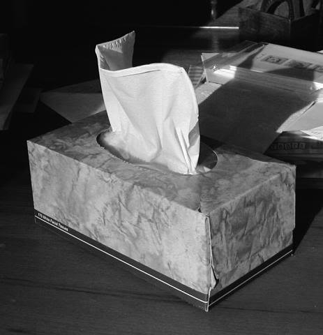 tissue_696dbeceb1b4c81b1297005461d2df79d649acdf.jpg
