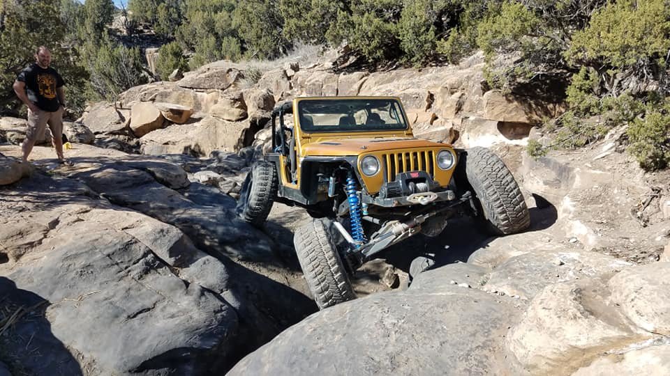 tj23.jpg