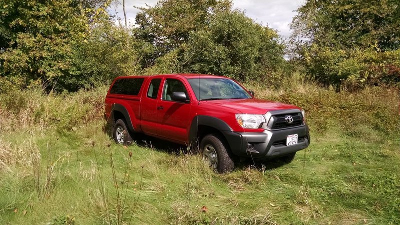 tlp new taco.jpg