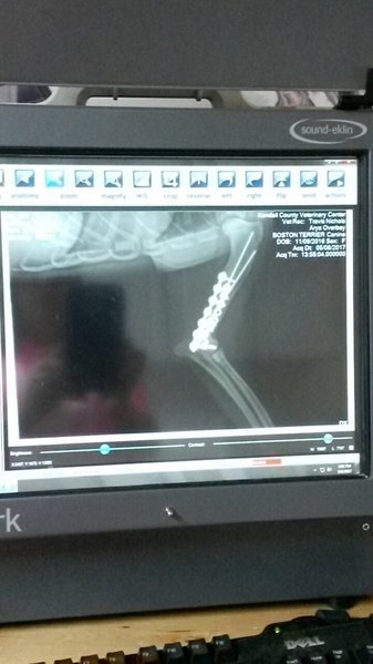 tmp_17273-20170508_140205-1869616704.jpg
