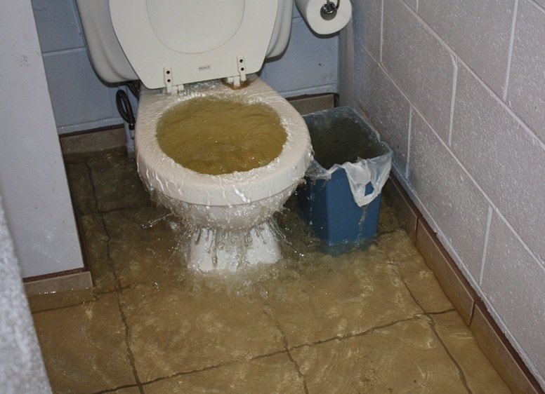 tmp_18365-overflowing toilet cropped1370166039.jpg
