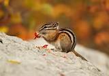 tmp_1886-th(3)-203802947.jpg