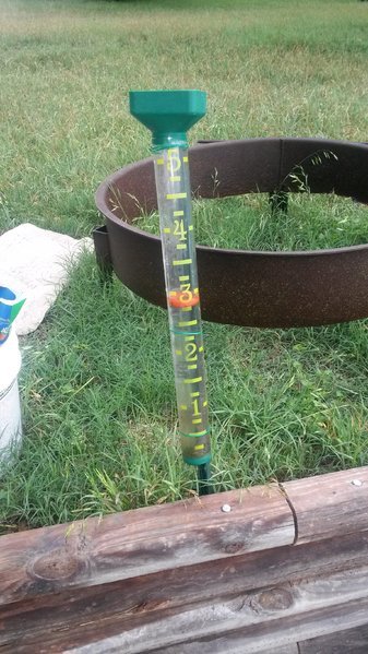 tmp_19715-20170604_151740957562829.jpg