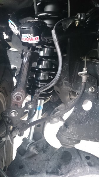 tmp_19833-DSC_0230212784865.jpg