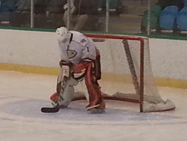 tmp_2015-12-30 19.46.48-1191170681.jpg