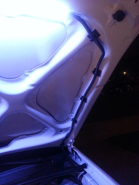 tmp_20151003_204504166236897.jpg