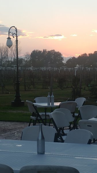 tmp_21292-20170121_174631821493901.jpg