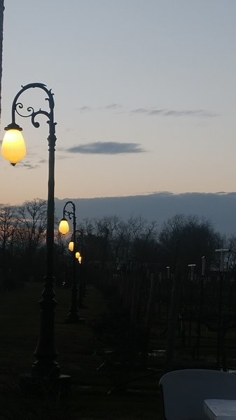 tmp_21292-20170121_1756392069041782.jpg